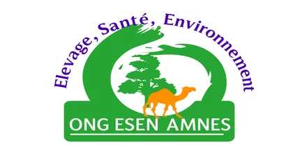 Logo ONG ESEN AMNES